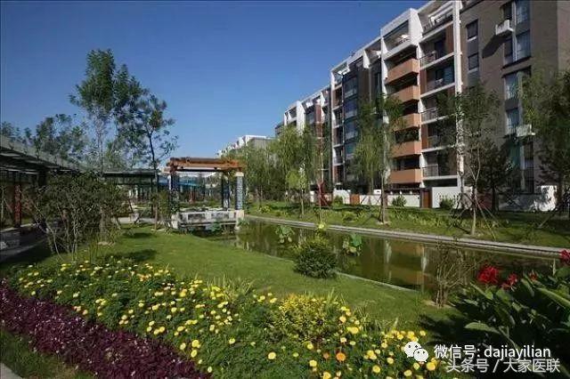 小孩变成植物人的后果,12岁儿童突然变成植物人