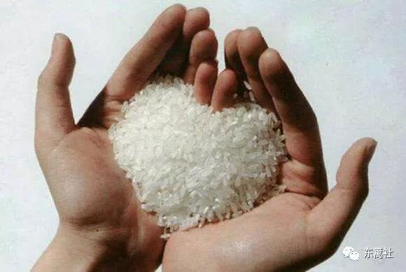 北大才女卖米演讲,北大才女卖米原因