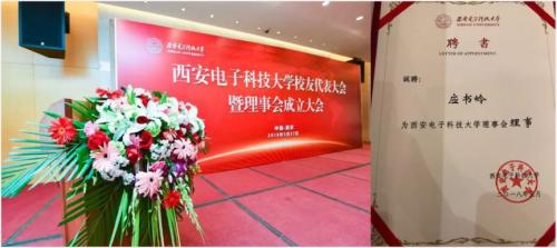 鏂颁笁鏉挎嫙ipo鍏徃,2020鏂颁笁鏉挎嫙ipo鍏徃