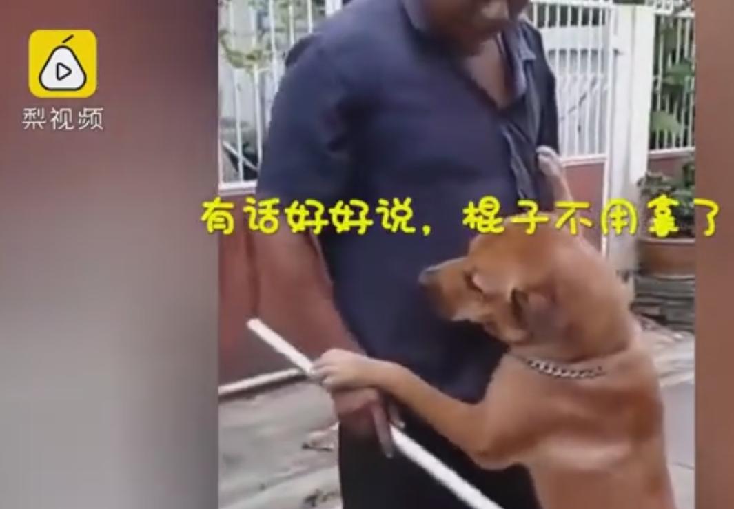 男子科二考试打电话给教练,男子学车碰到教练