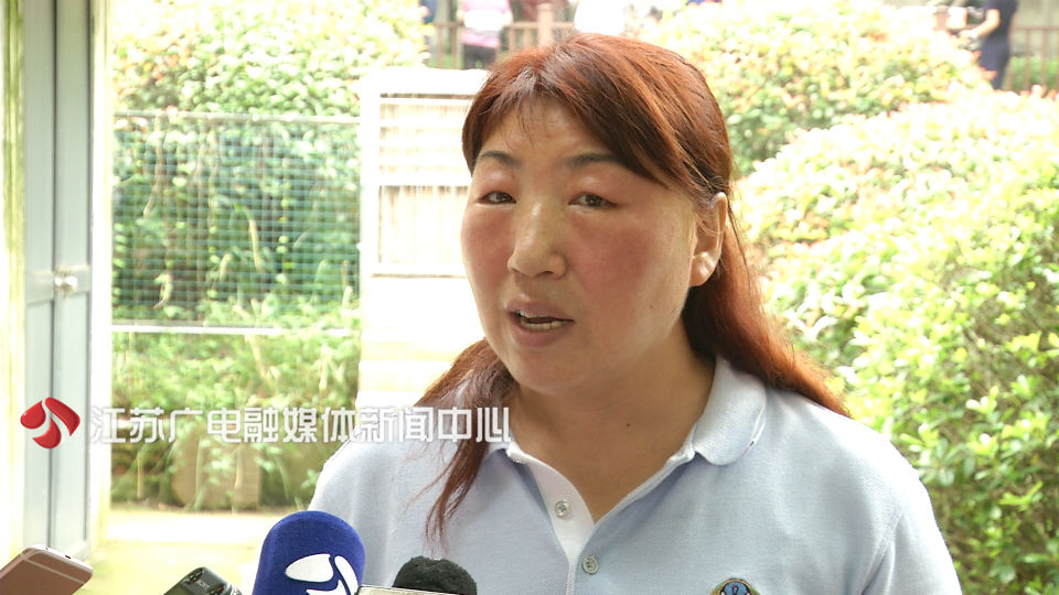 世界杯巴西吉祥物,2017巴西世界杯吉祥物