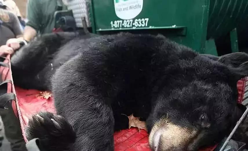 揭露各种海外代购真相,朋友圈代购真实案例