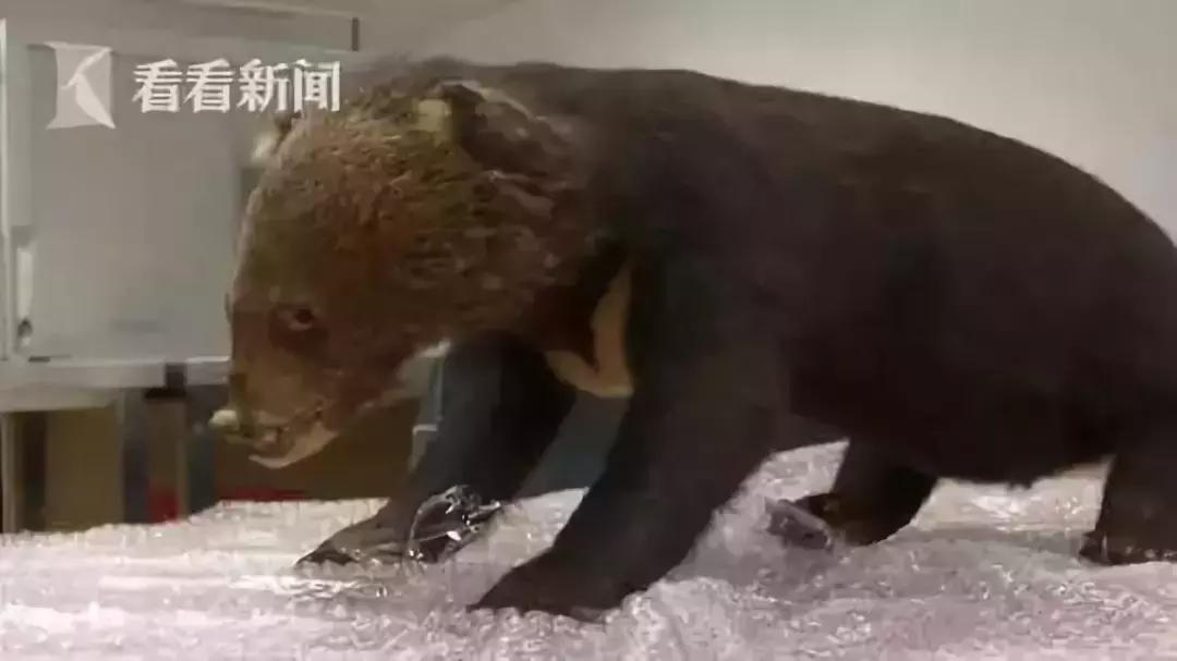 揭露各种海外代购真相,朋友圈代购真实案例