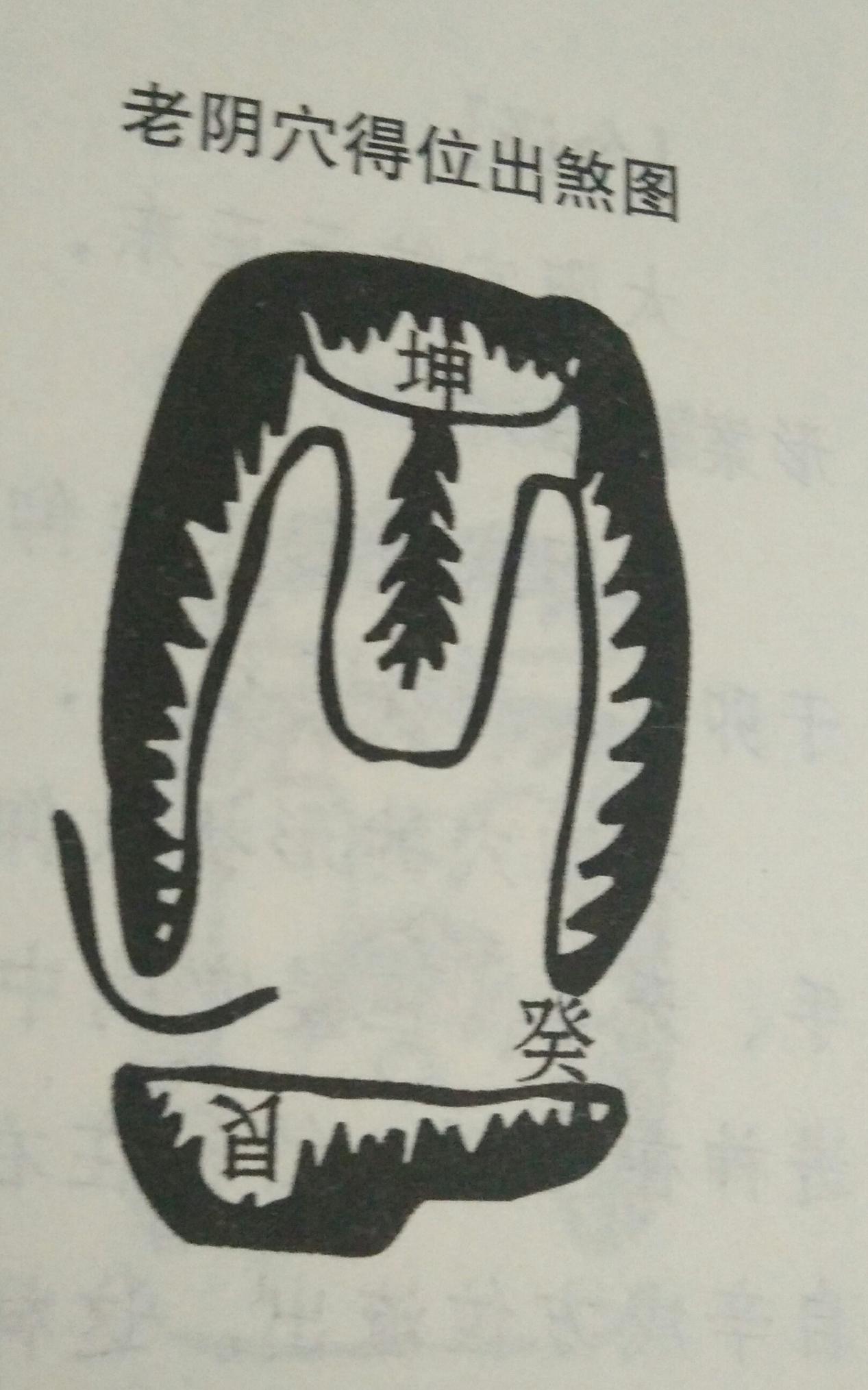 坟墓的布局有什么讲究,坟墓的朝向有什么讲究