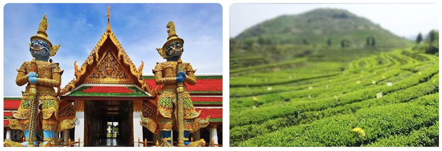 泰国驱蚊提神的好处,泰国青草膏驱蚊止痒