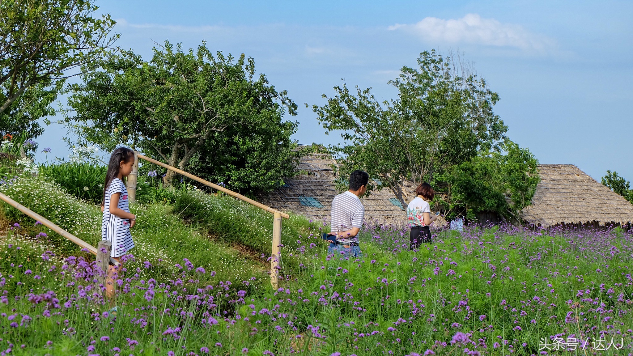 清迈民谣小清新,清迈清新小院