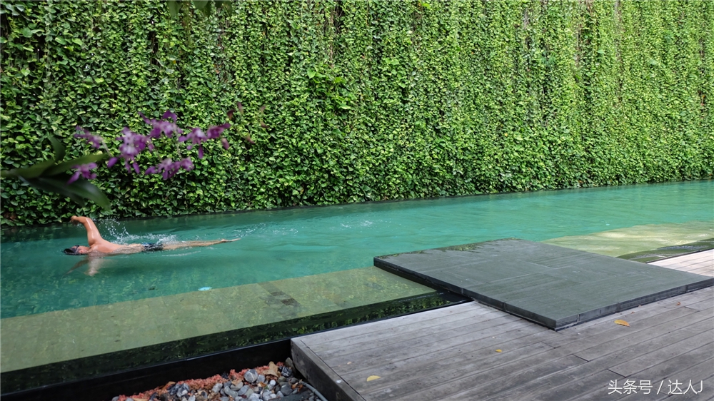 清迈民谣小清新,清迈清新小院