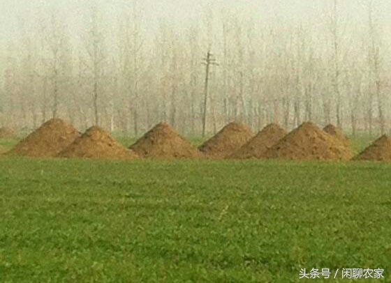 自家坟地旁有别人坟坑怎么处理,离住宅不远处有坟地怎么办