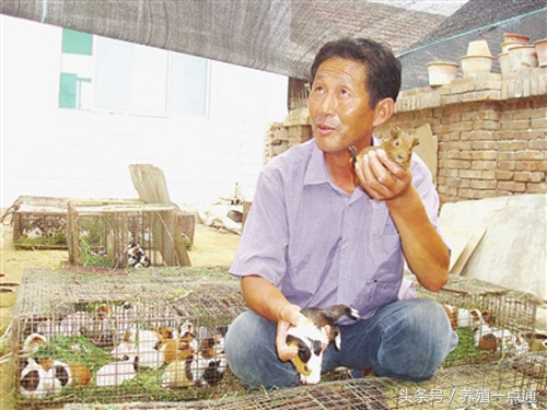 十大最适合农村创业项目,最新适合农村的五个创业项目