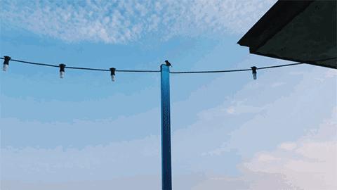 人在囧途旅游路线,人在囧途之毛里求斯