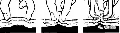 哈娜身材图片,盘点哈娜身材