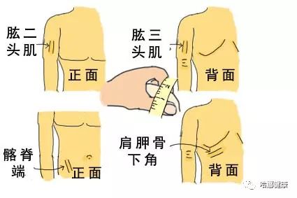 哈娜身材图片,盘点哈娜身材