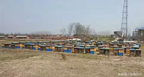 别老喝饮料了在家这样喝更健康,喝白开水健康又养生