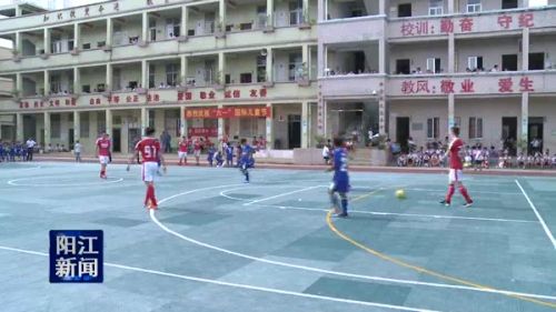 漠阳花纯花生油怎么样,广东漠阳花粮油有限公司