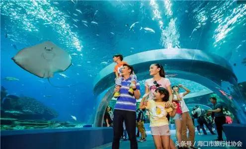 国内外十大好玩的大型游乐场,西安童真童趣游乐场