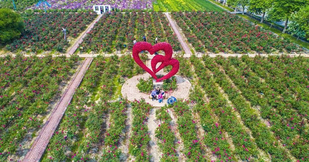 广州户外亲子游玩好去处,广州适合亲子旅游的地方