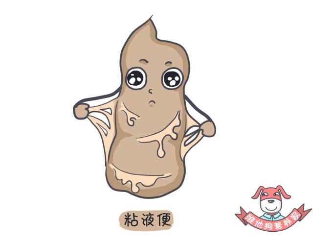 令人困扰的便便儿童科普,关于便便的小知识