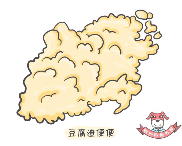 令人困扰的便便儿童科普,关于便便的小知识