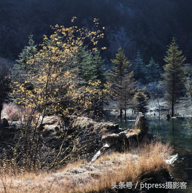 前期拍摄画草图技巧有哪些,线描画人物摄影技巧构图