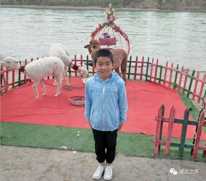 「最美北区人之最美少年（三）」“班级小雷锋”——泉湾小学敏豪