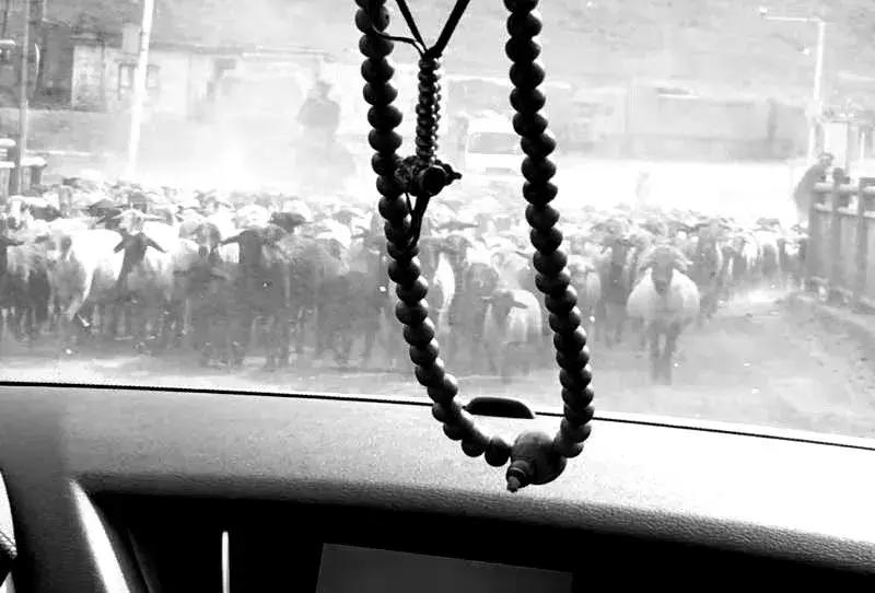 独库公路风景欣赏,独库公路的百里画廊全程最新地图