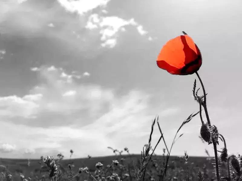 独库公路风景欣赏,独库公路的百里画廊全程最新地图