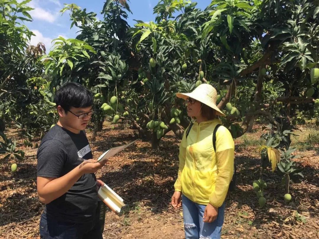 肥料销售利润,肥料经销商一年卖一千吨肥料