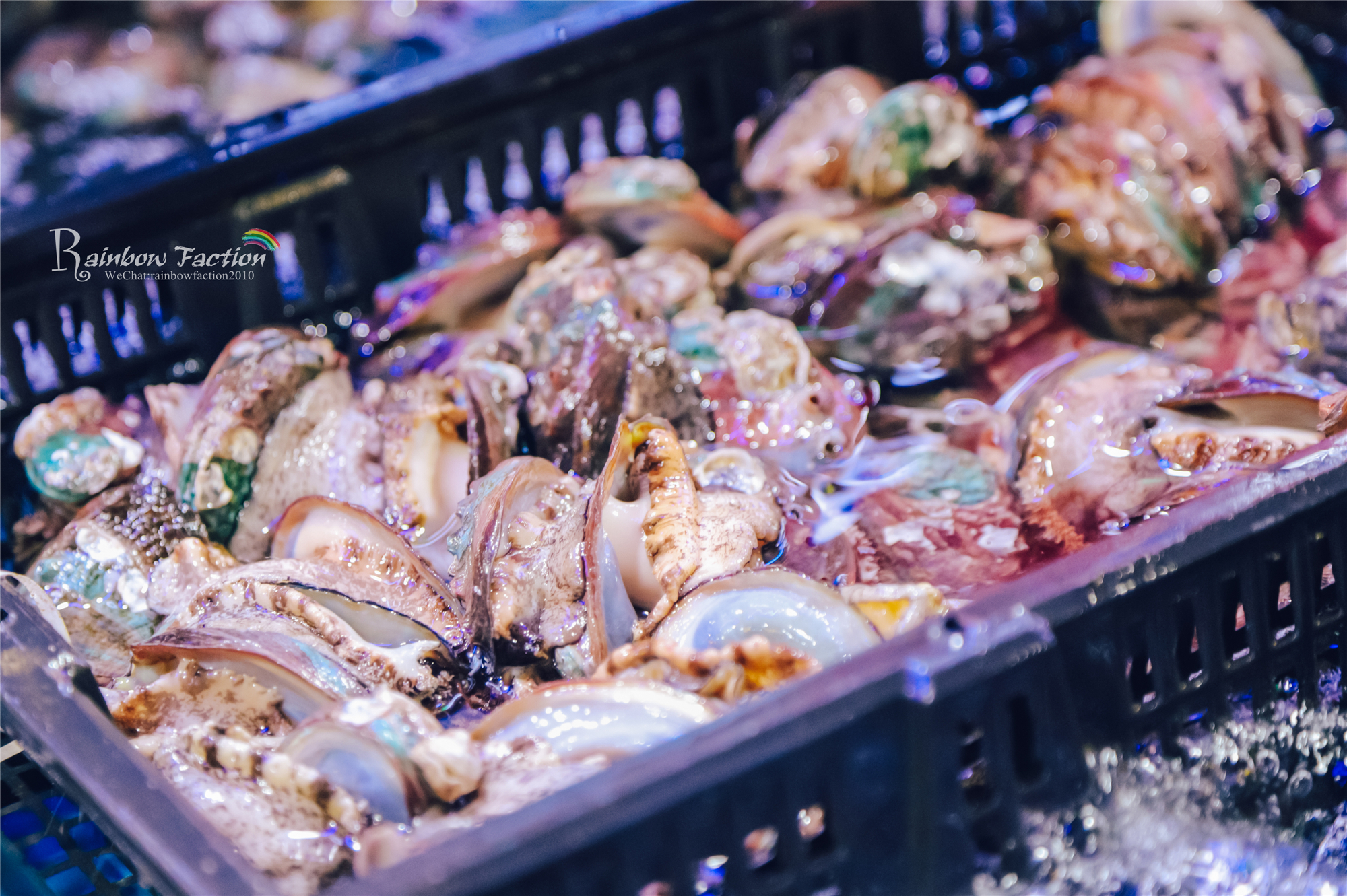 三亚亚龙湾壹号小镇奥特莱斯美食,亚龙湾壹号小镇奥特莱斯