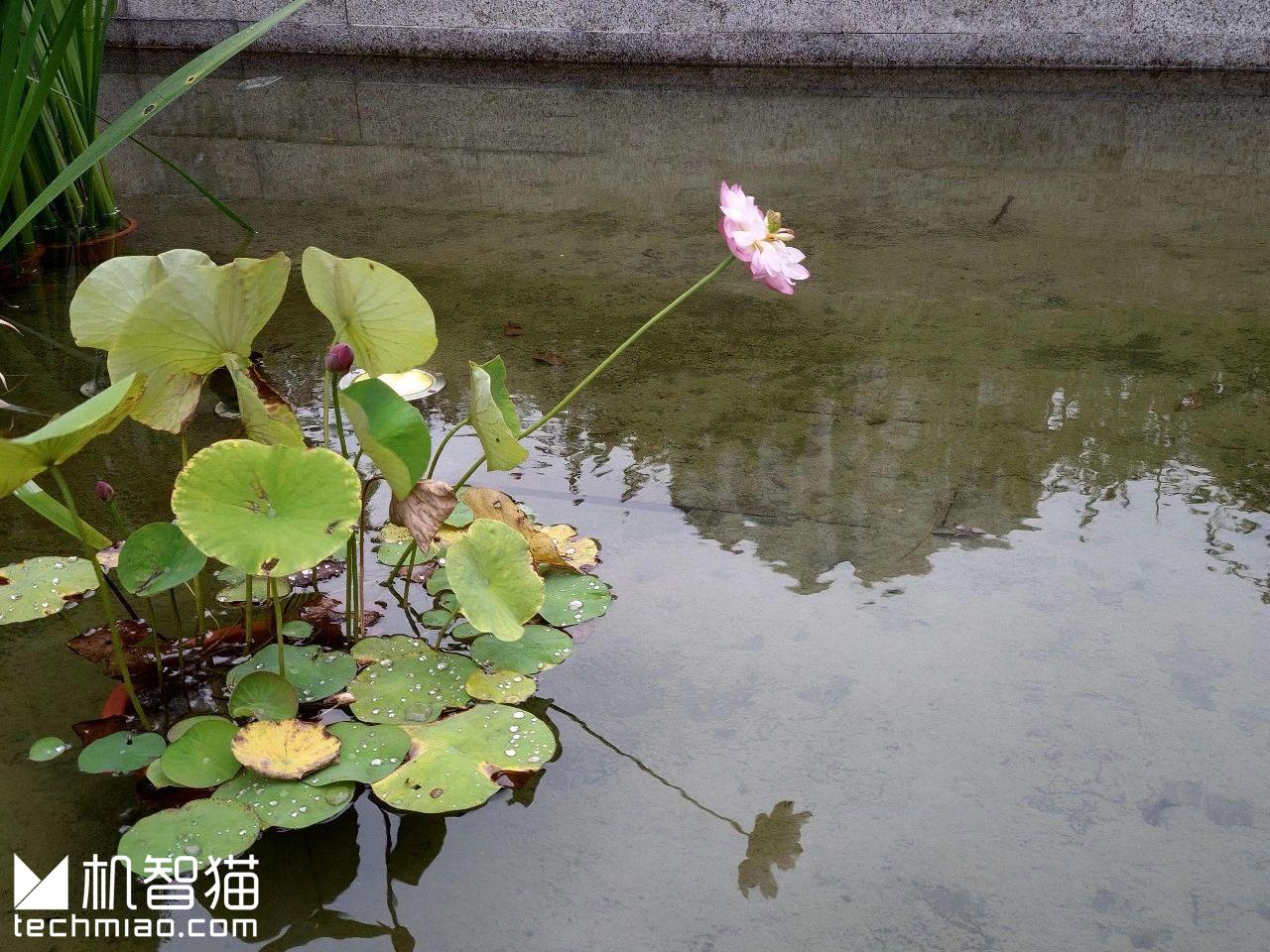 htcu12+与u11+的区别,htcu12+后面有什么