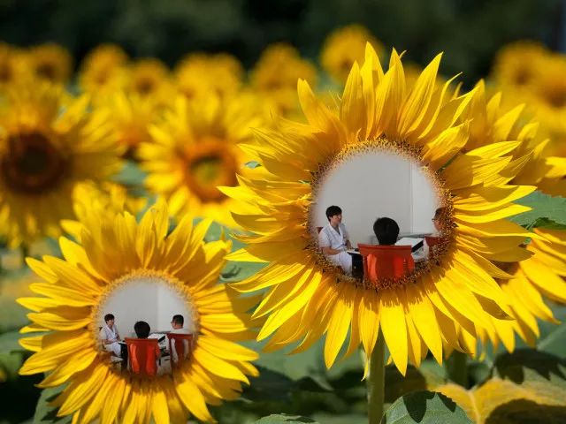 通州妇幼儿科,通州妇幼看儿科怎么样