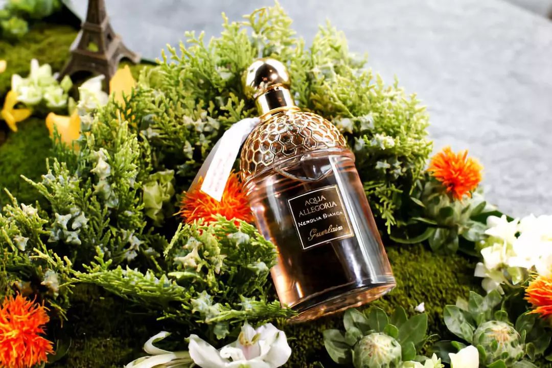这个夏天，买什么香水才配得上掏空钱包置办的小美裙