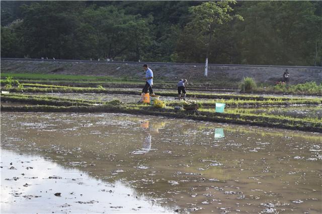 农民春耕怕干旱又怕雨水多,农民怕耕田
