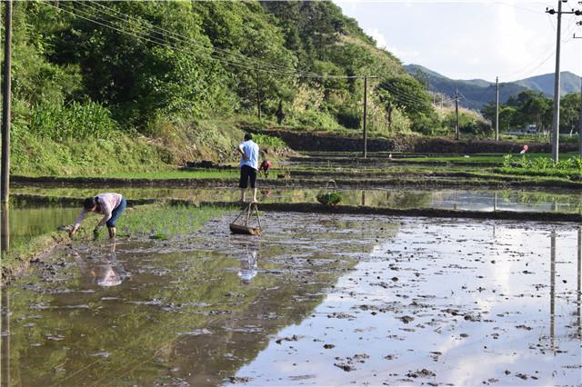 农民春耕怕干旱又怕雨水多,农民怕耕田
