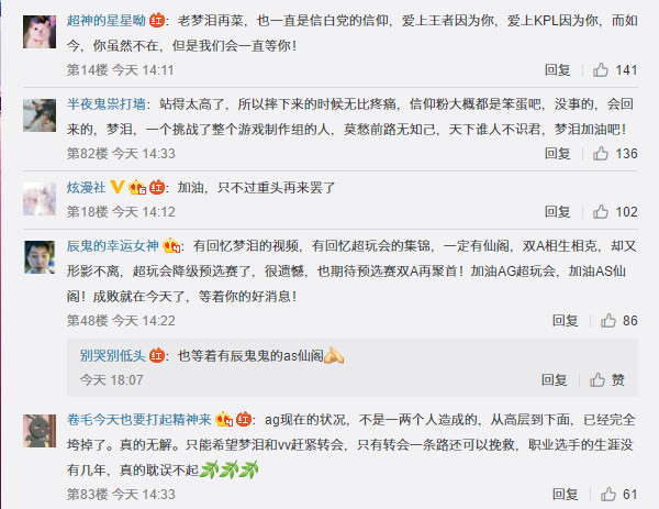 王者荣耀kpl职业联赛梦泪回归,王者荣耀kpl梦泪退役之战