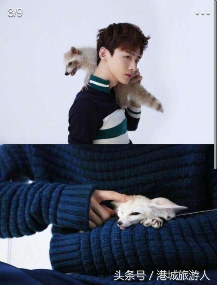 白敬亭过度曝光自己形象,白敬亭代购视频