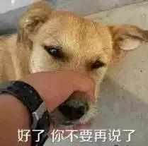 北京全口径2020平均工资公布时间,北京月平均工资2023最新标准