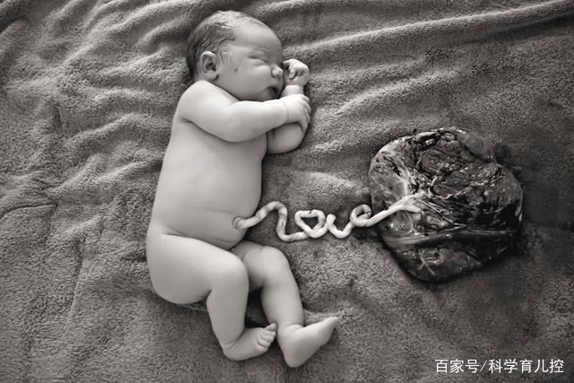 精子的产生全过程,精子从开始到最后的过程