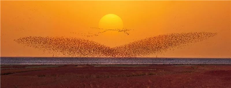 入国展作品欣赏,入展隶书作品欣赏