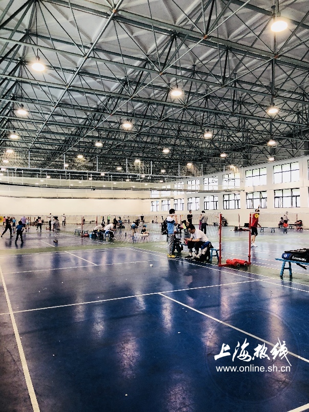 绿树成荫景色宜人清新空气,绿树成荫环境优美空气清新