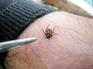 养殖户注意警惕这些疾病,小龟苗头上有白点怎么治疗