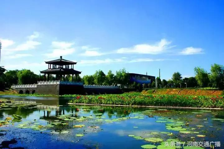 2020河南省有几个市进入百强,河南10市入围百强市