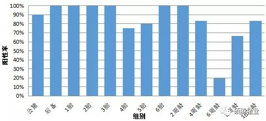 广东某猪场成功使用“瑞兰安”后又经历引种风波的案例分析