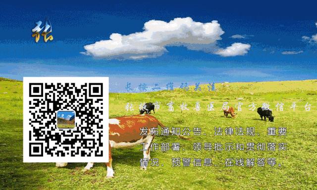 牛口蹄疫肠炎怎么治疗,兽医治疗牛胃肠炎的分析