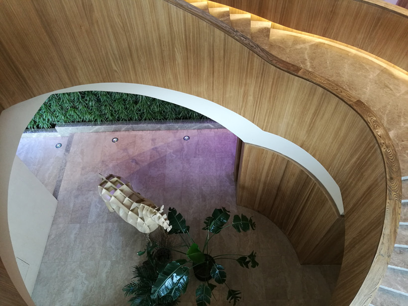 皇冠蛋糕工厂做什么,皇冠蛋糕工厂