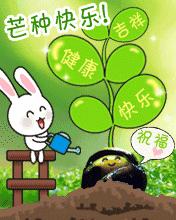 芒种暖心祝福文案,今日芒种的祝福表情动态图