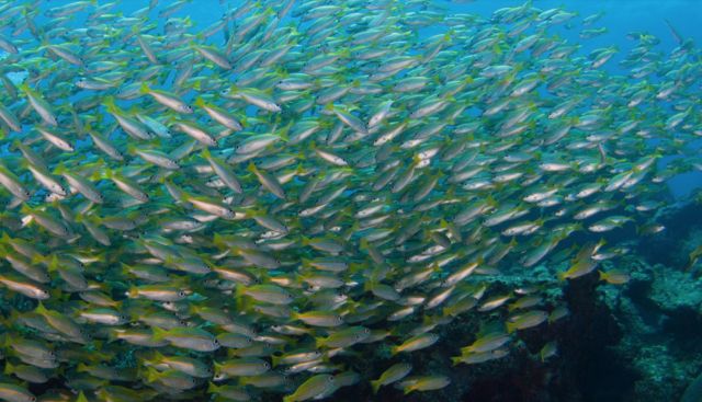 沉迷私岛酒店,这个夏天缺一次马来之旅