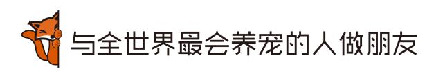 爱妖经大社区众测No.6｜一份不一样的主粮能让你的毛球活力一整天