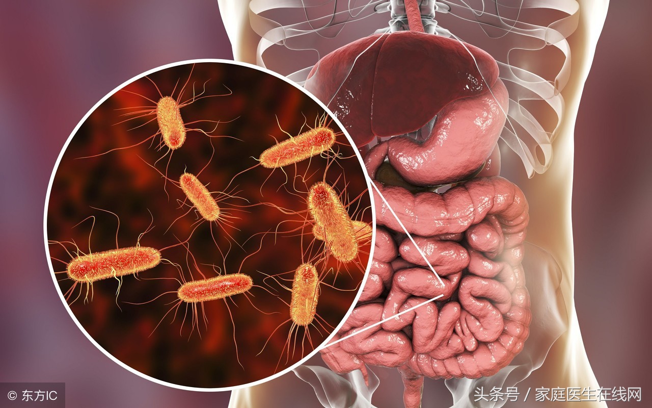 养胃吃什么食物最好最有效不带糖,胃病吃什么食物好养胃中和胃酸