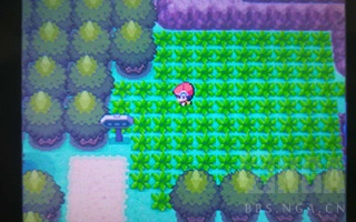 排名前十的精灵宝可梦游戏,精灵宝可梦盘点那些有趣的宝可梦