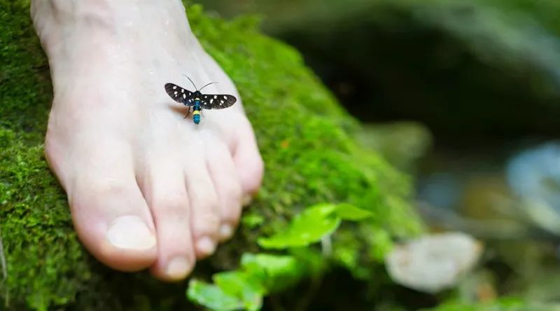 湿热脚气泡脚中药配方,脚气湿气比较重用什么泡脚